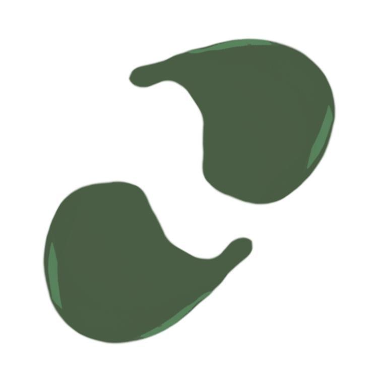 Vegan Nagellak 20 Free - Sage Green