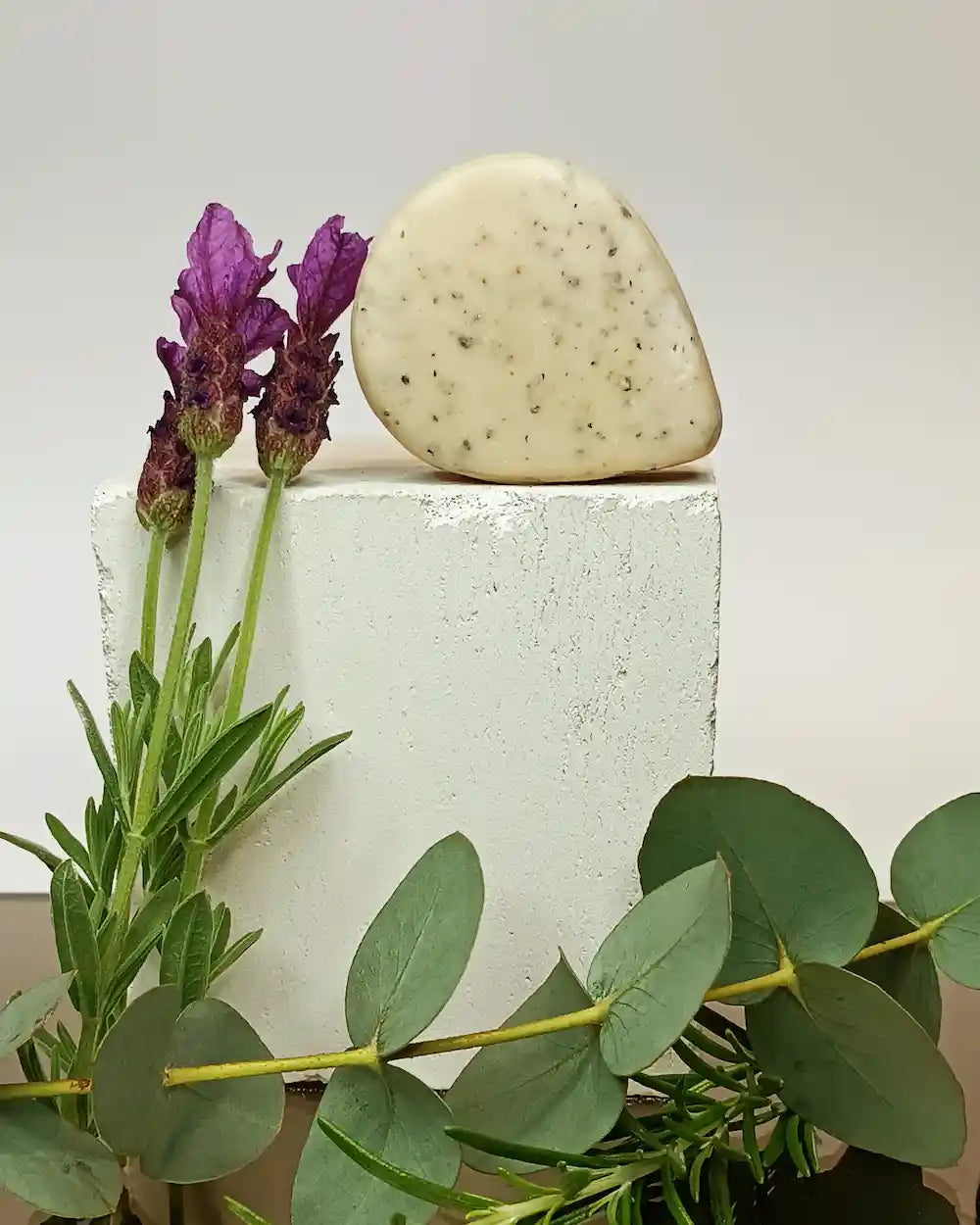 Nature-Bar-Shampoo-Bar-Voedt-en-Herstel