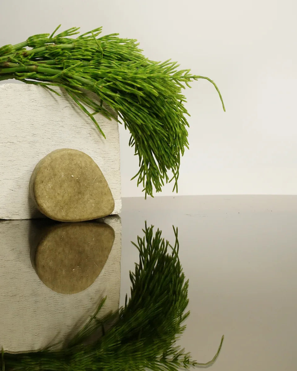 Shampoo Bar Balans & Diepe Reiniging (Mint & Heermoes)