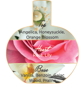 ADM_FICHES_LILY_AMBRE_2018_EN_VERSO