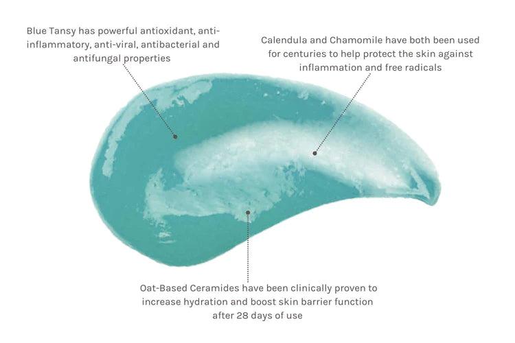 Blue_Tansy_Beauty_Balm_1