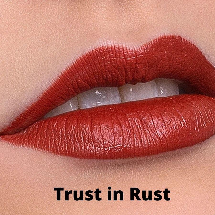 Trust in Rust