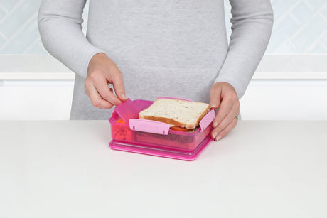 41482_975ml_LUNCH_SnackAttackDuo_Lifestyle_Bench_Food_Open_Hands_Pink