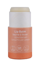 Beauty Made Easy Paper Tube Lipbalm - Sweet & Berry 2