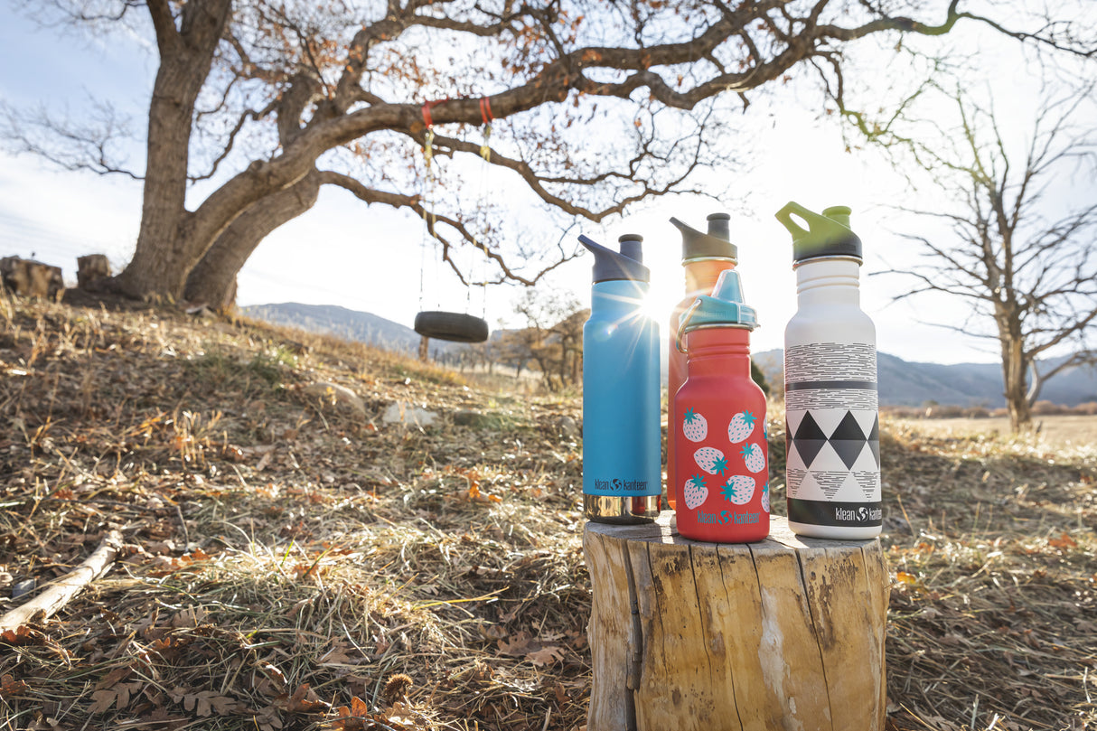 Classic Group-HOLZ-Bottles On Tree Stump