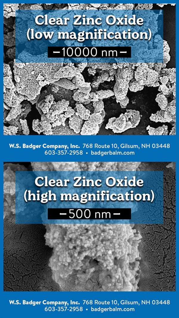 clear-zinc-oxide-sem-images-2022