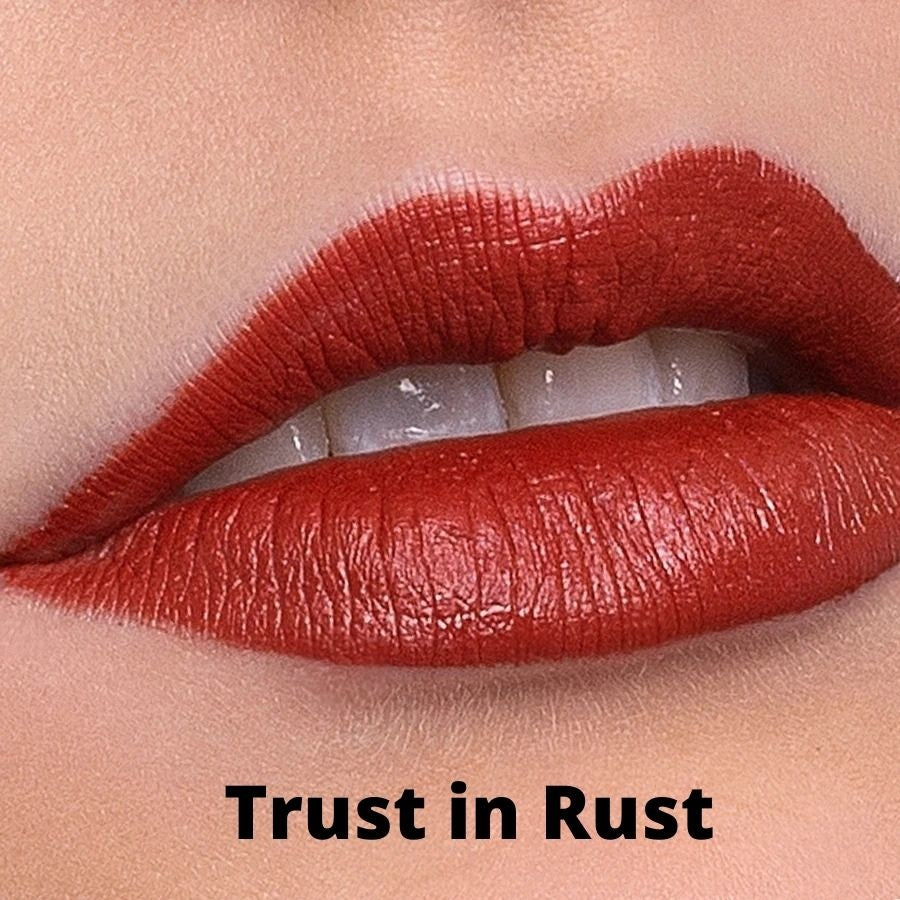 Trust in Rust