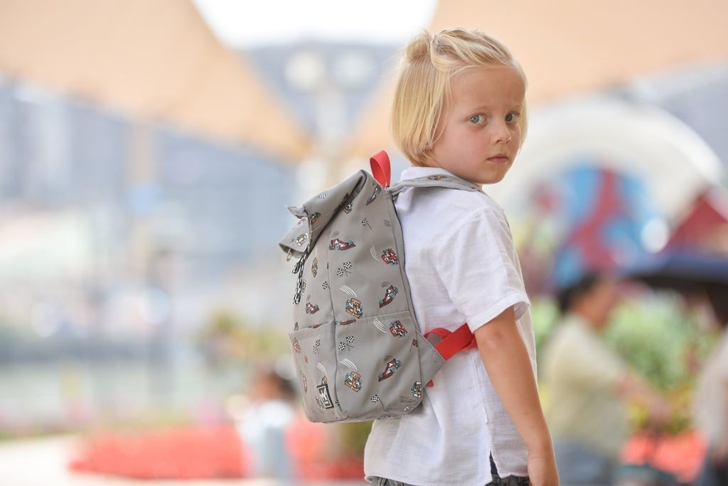 YLX Original Backpack _ Flint Gray & Formula 1 (2)